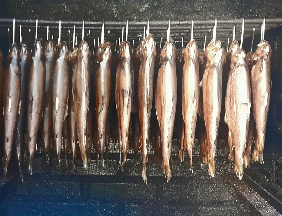 Forellen hängen nach dem Räuchern im Räucherofen